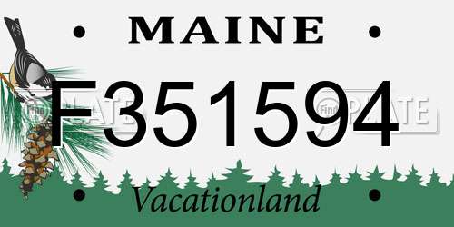 F351594 Maine License Plate