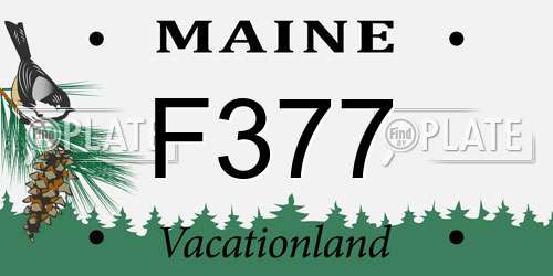 F377 Maine License Plate