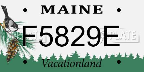 F5829E Maine License Plate