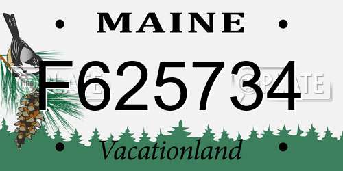 F625734 Maine License Plate