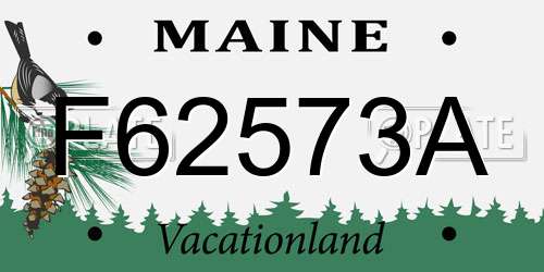 F62573A Maine License Plate