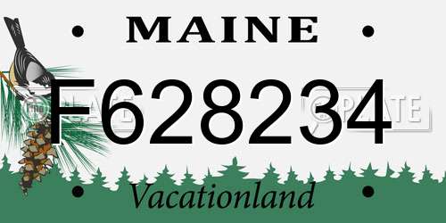 F628234 Maine License Plate
