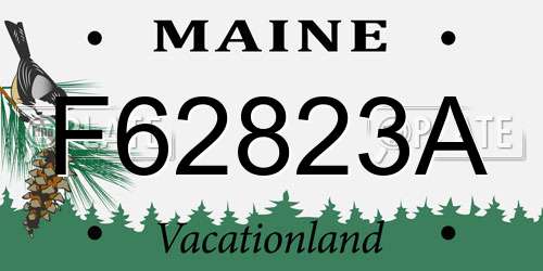 F62823A Maine License Plate