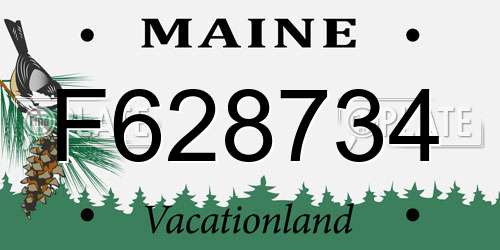 F628734 Maine License Plate