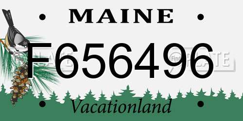F656496 Maine License Plate
