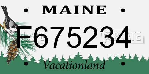 F675234 Maine License Plate