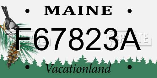 F67823A Maine License Plate