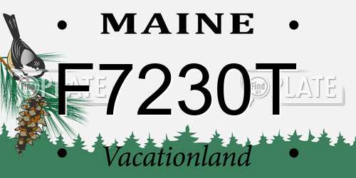 F7230T Maine License Plate