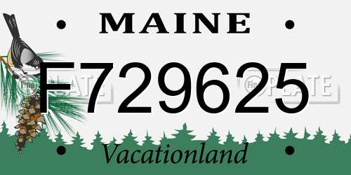 F729625 Maine License Plate