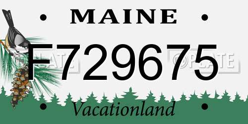 F729675 Maine License Plate