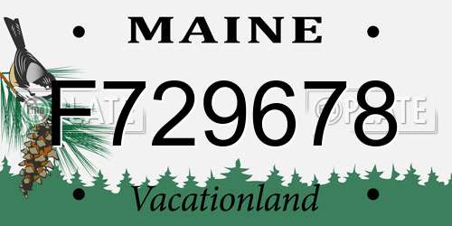 F729678 Maine License Plate