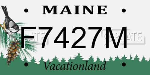 F7427M Maine License Plate