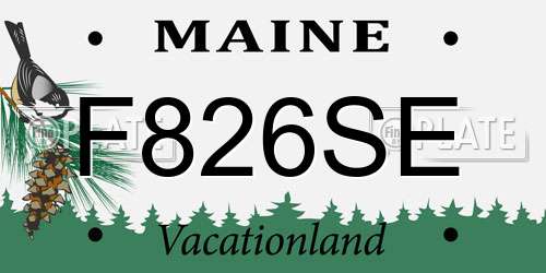 F826SE Maine License Plate