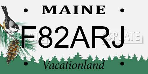 F82ARJ Maine License Plate