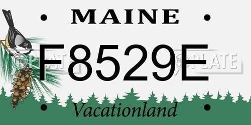 F8529E Maine License Plate