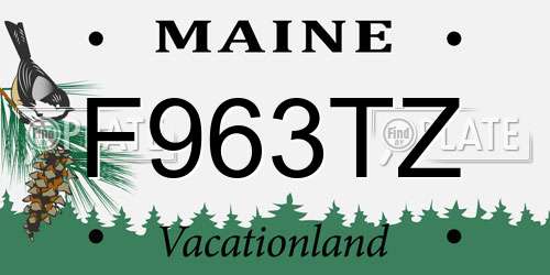 F963TZ Maine License Plate