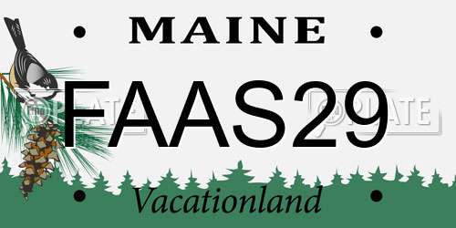 FAAS29 Maine License Plate