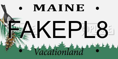 FAKEPL8 Maine License Plate