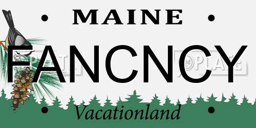 FANCNCY Maine License Plate