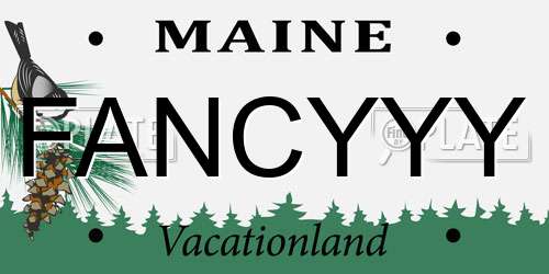 FANCYYY Maine License Plate