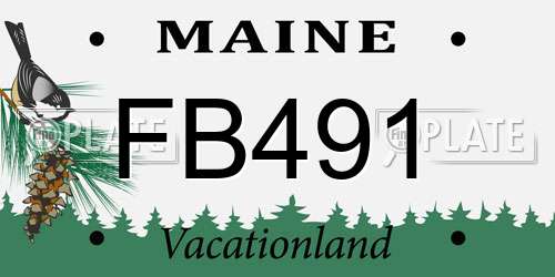 FB491 Maine License Plate