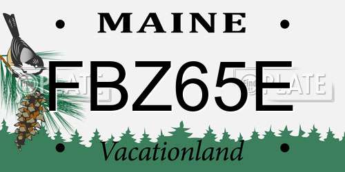FBZ65E Maine License Plate