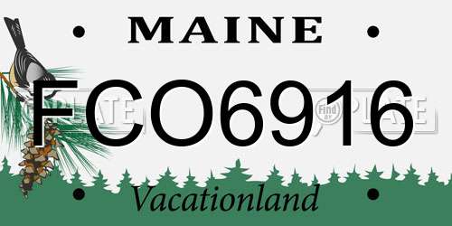 FCO6916 Maine License Plate