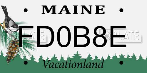 FD0B8E Maine License Plate