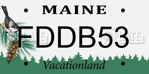 FDDB53 Maine License Plate
