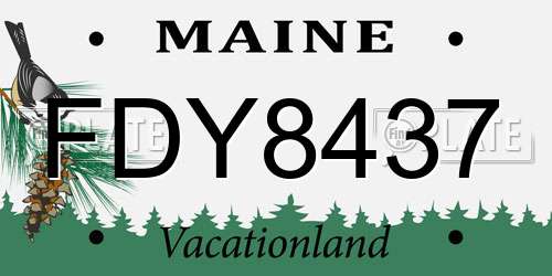 FDY8437 Maine License Plate