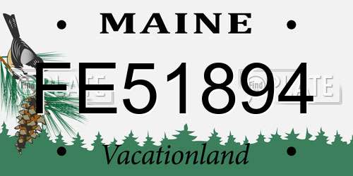 FE51894 Maine License Plate