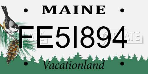 FE5I894 Maine License Plate