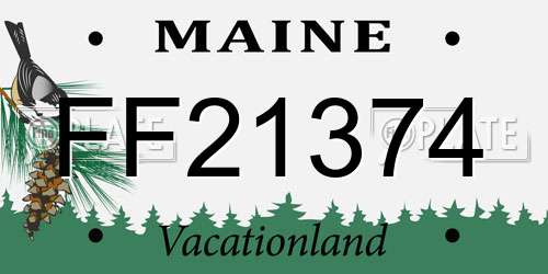 FF21374 Maine License Plate