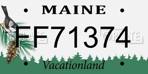 FF71374 Maine License Plate