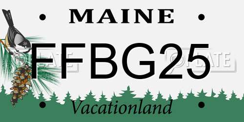 FFBG25 Maine License Plate