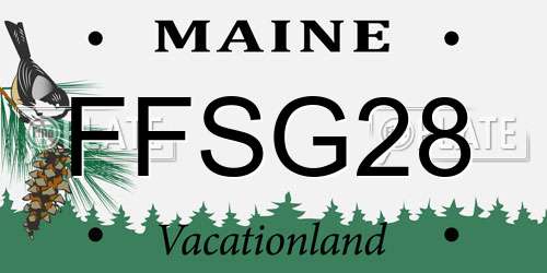 FFSG28 Maine License Plate