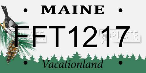 FFT1217 Maine License Plate