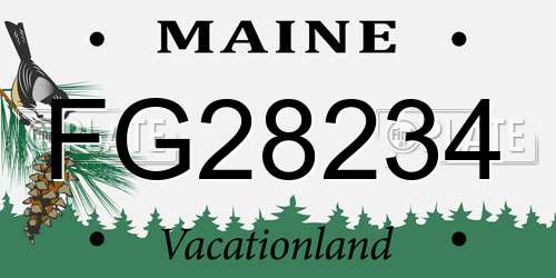 FG28234 Maine License Plate