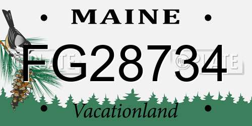 FG28734 Maine License Plate