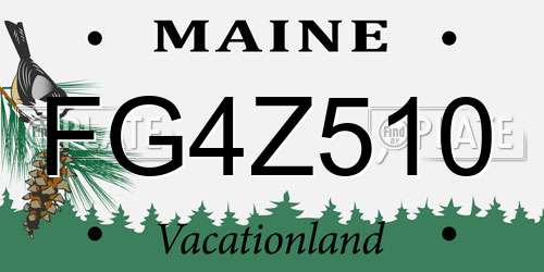 FG4Z510 Maine License Plate