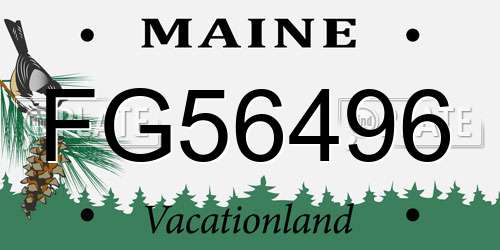 FG56496 Maine License Plate
