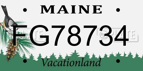 FG78734 Maine License Plate