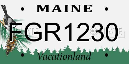 FGR1230 Maine License Plate