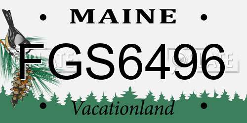 FGS6496 Maine License Plate