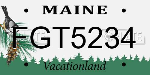 FGT5234 Maine License Plate
