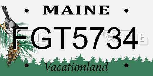FGT5734 Maine License Plate
