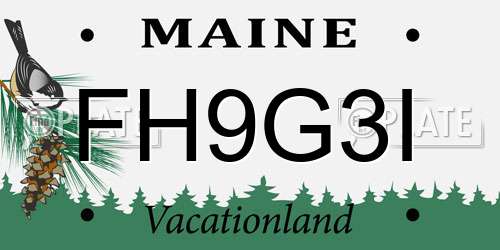 FH9G3I Maine License Plate