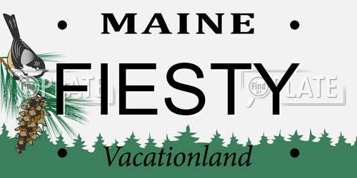 FIESTY Maine License Plate