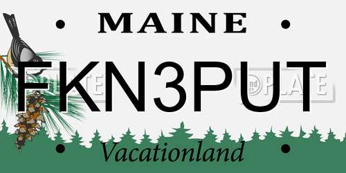 FKN3PUT Maine License Plate