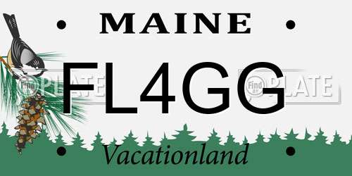 FL4GG Maine License Plate